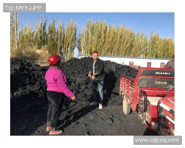 太阳梁乡开展暖心煤发放活动，精准帮扶困难群众解决冬季取暖难题